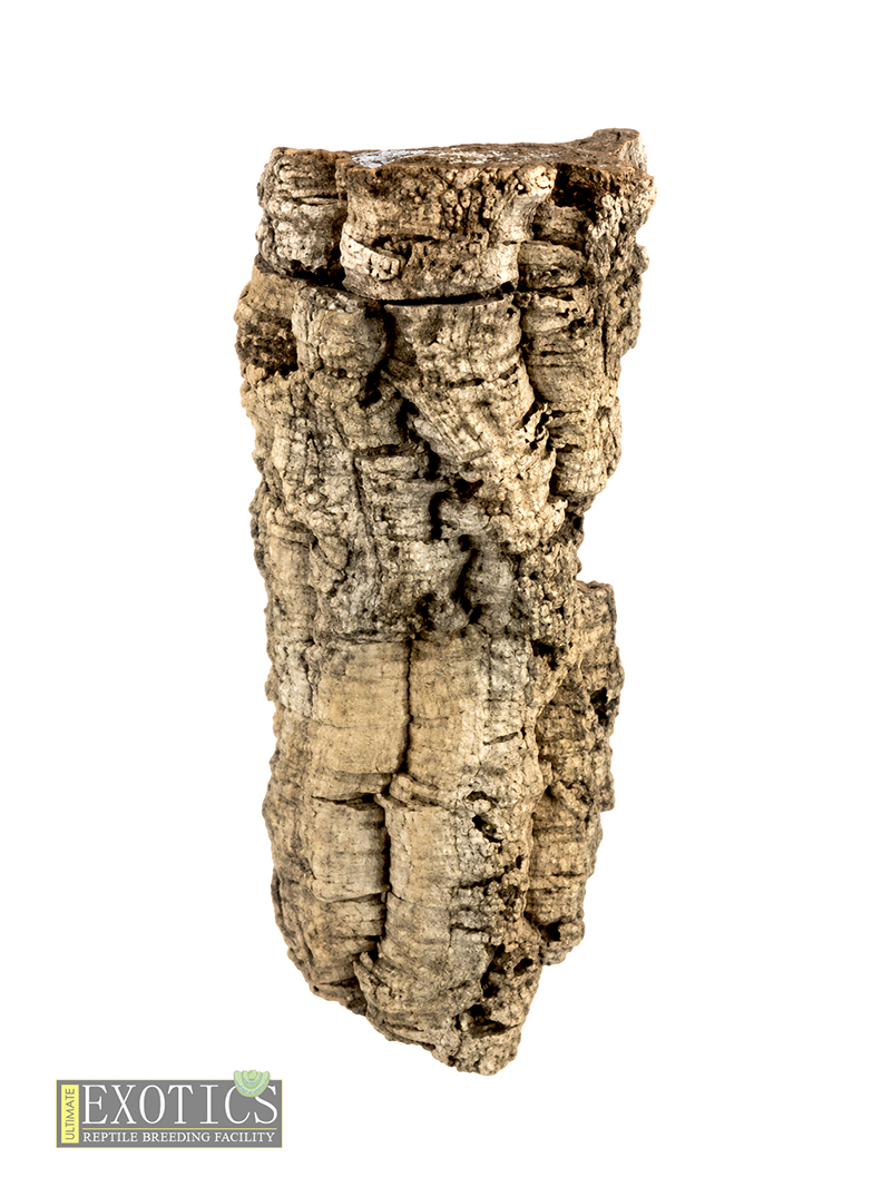 UE Cork Bark Ledge