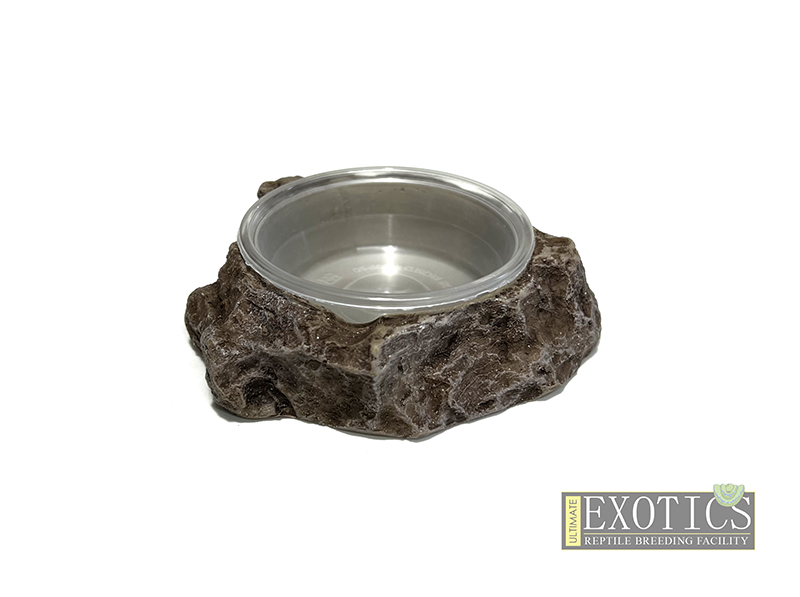 UE Rock Delicup Holder - Medium Shallow