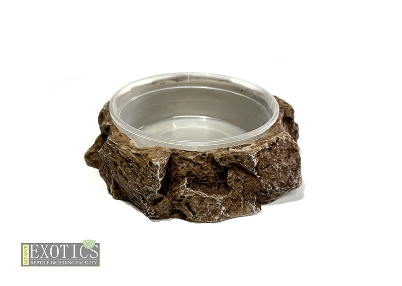 UE Rock Delicup Holder - X Large Shallow