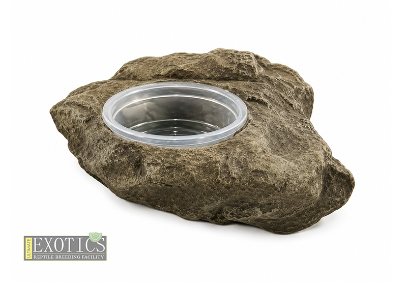 UE Rock Ledge Small - Single