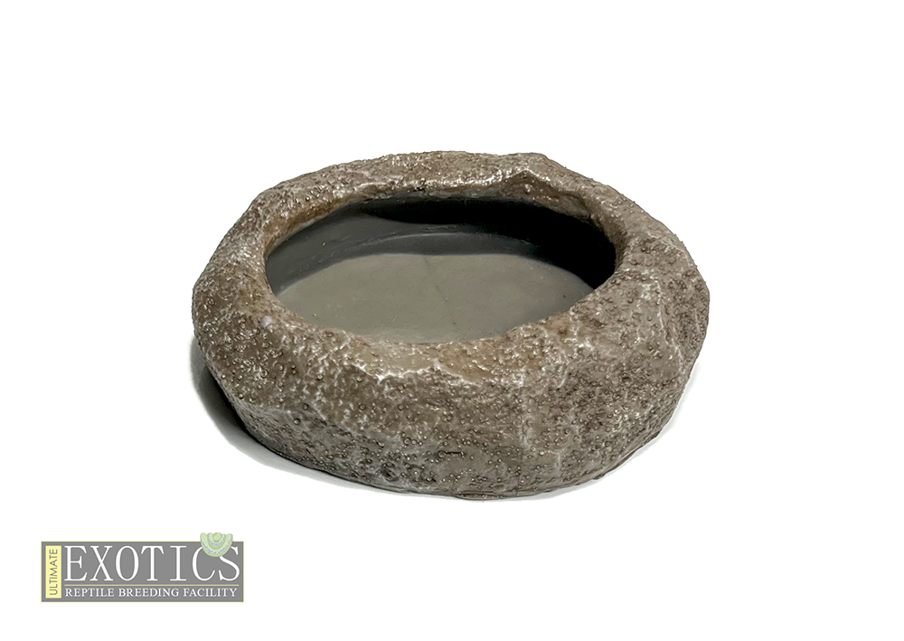 Worm Rock Bowl