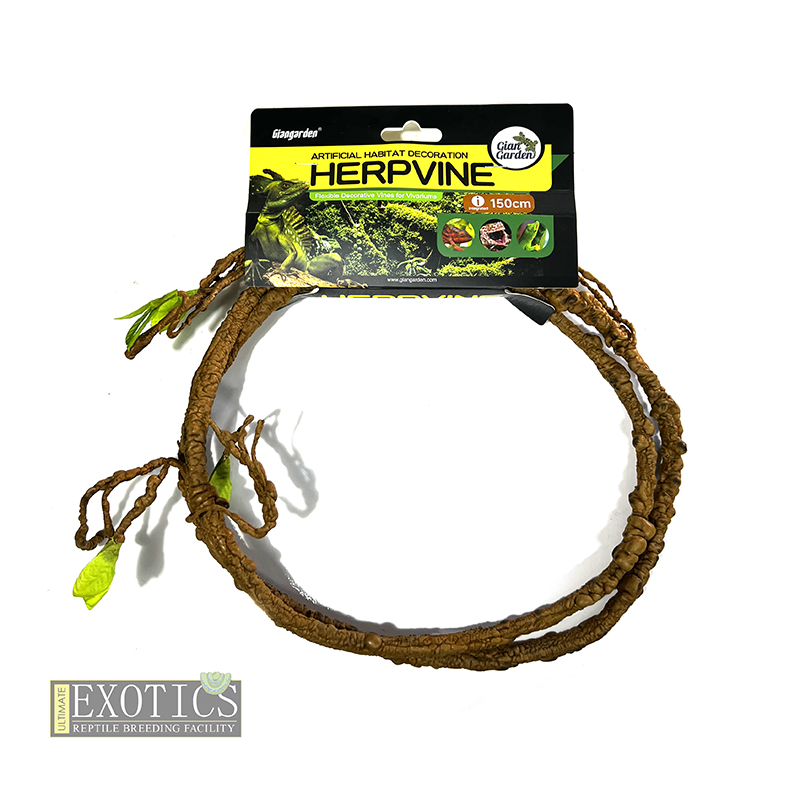 Herpvine - 150cm