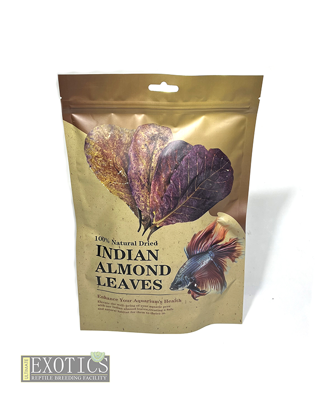 Dried Indian Almond Leaves