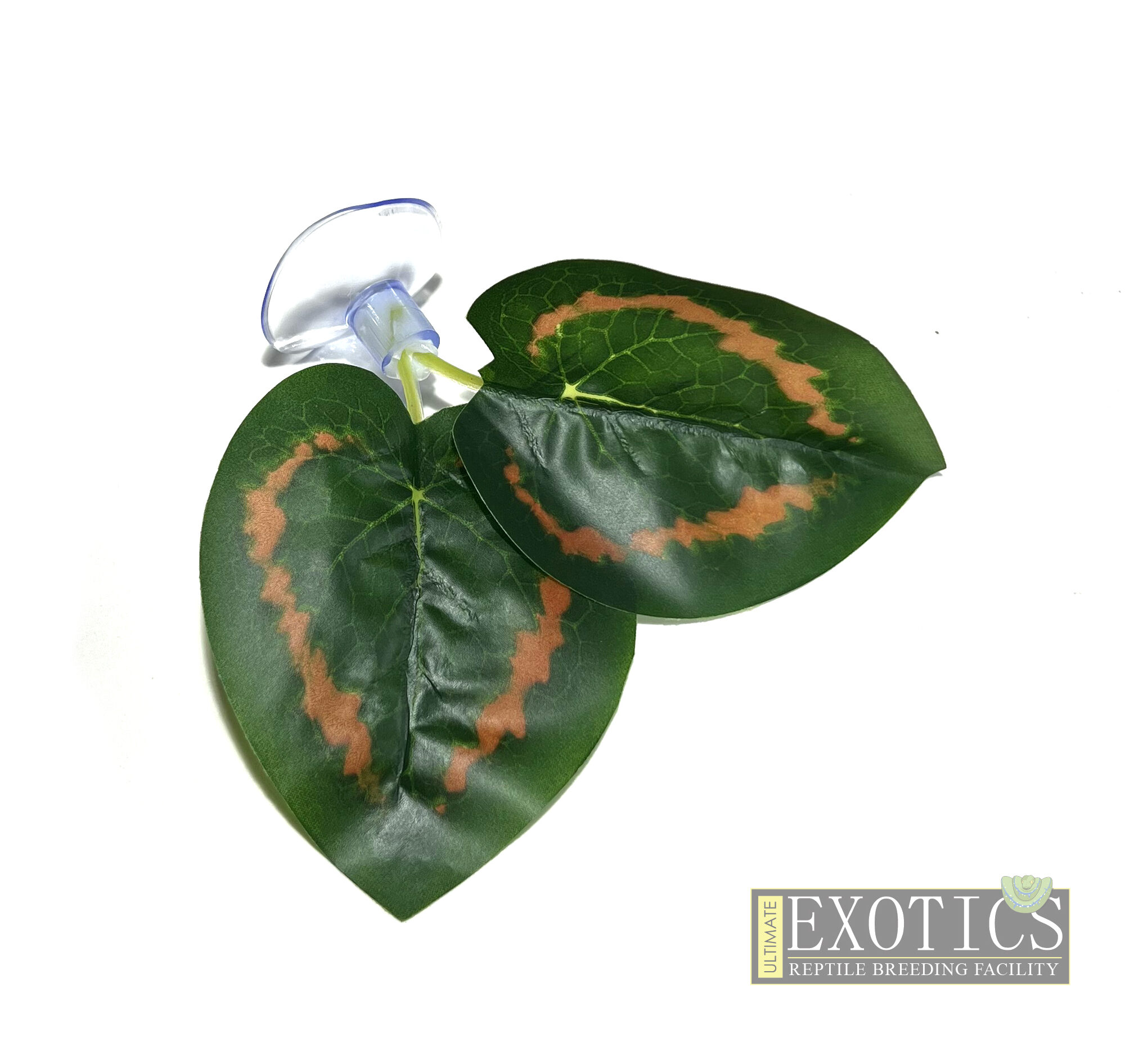 Suction Cup Leaves 2