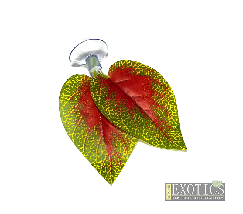 Suction Cup Leaves 3