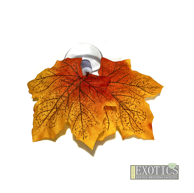 Suction Cup Leaves 4